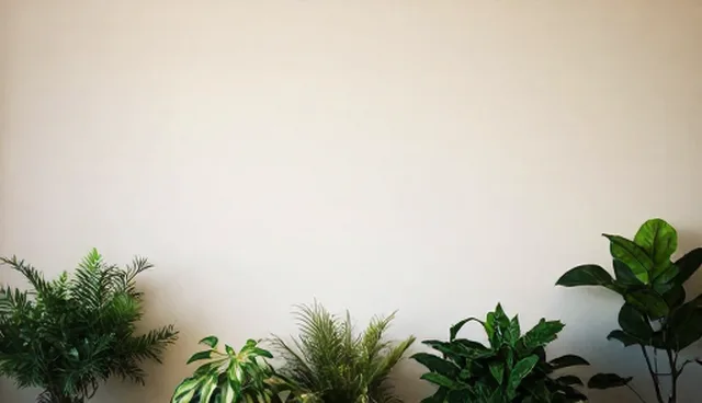 技术外包:自主开发与外包合作的取舍对比